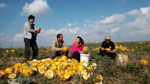 干部到田头，农民乐心头（折兴发）_副本.jpg