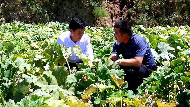 县委常委、纪委书记、监委主任高军军汛情期间与紫坊畔乡党委副书记、乡长李伟研究部署防汛保产工作_副本.png