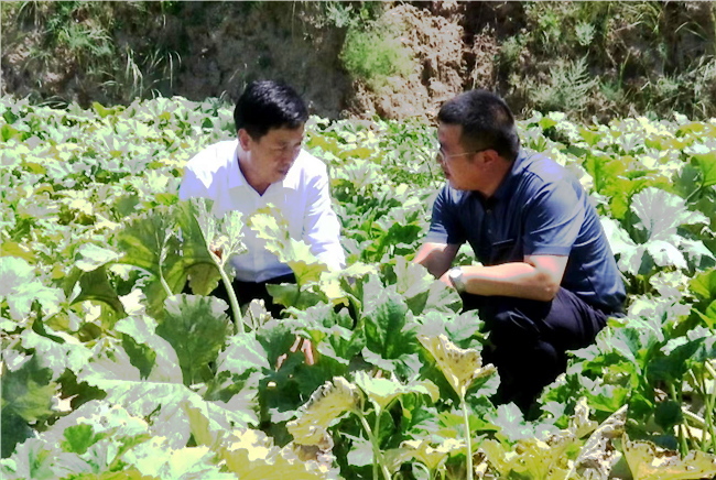 县委常委、纪委书记、监委主任高军军汛情期间与紫坊畔乡党委副书记、乡长李伟研究部署防汛保产工作.jpg